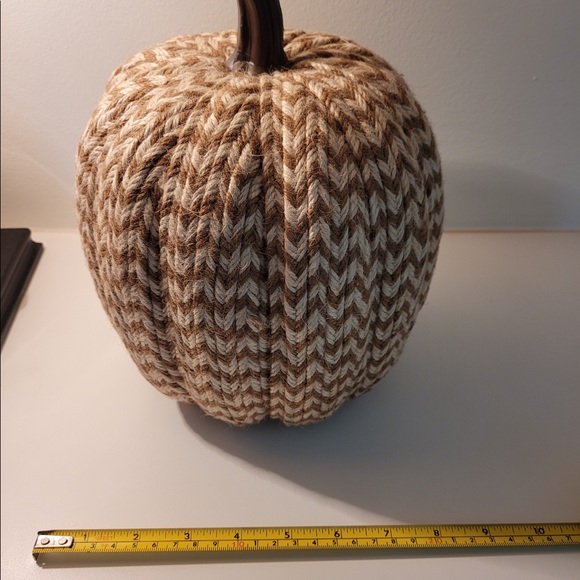 2 for $6 Fall Decor, Threshold Brand, Braided Texture Pumpkins - Picture 5 of 11